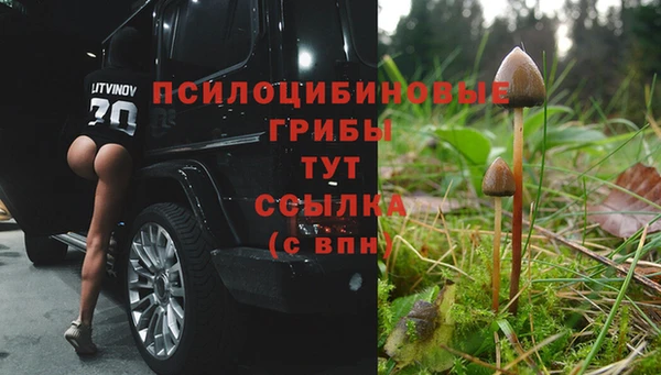 a pvp Арсеньев